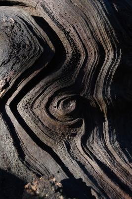 Old Grooved and Weathered Wood