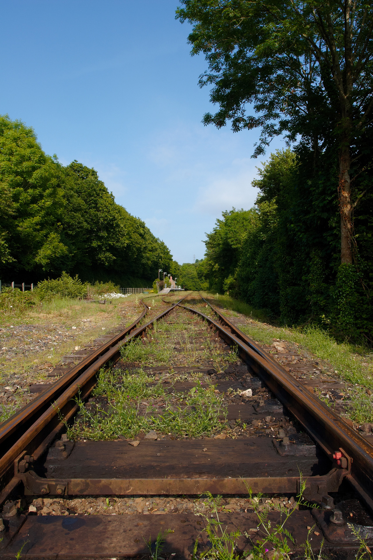 Old train tracks at Boscarne Junction, near Bodmin
