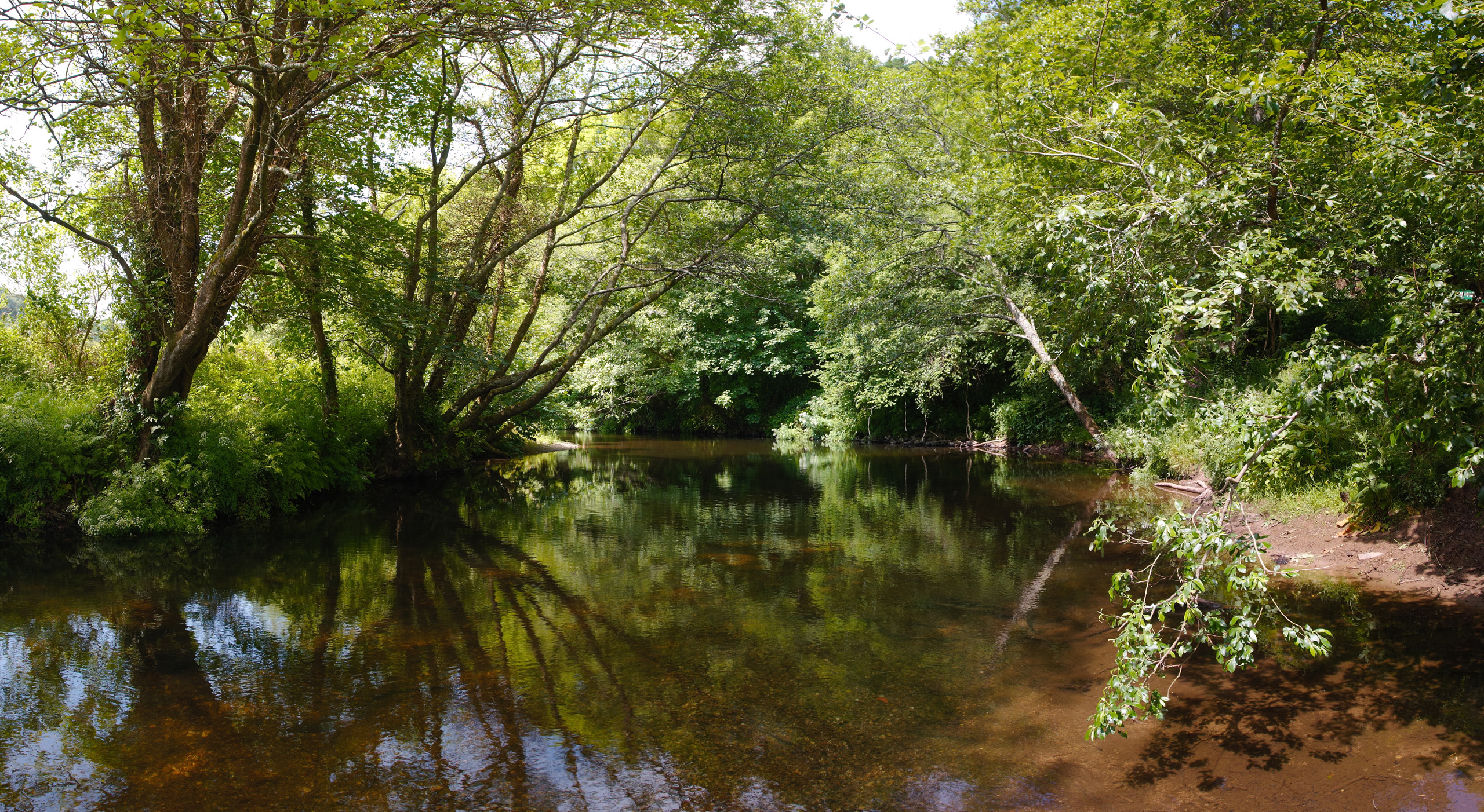 The River Camel along the Camel Trail