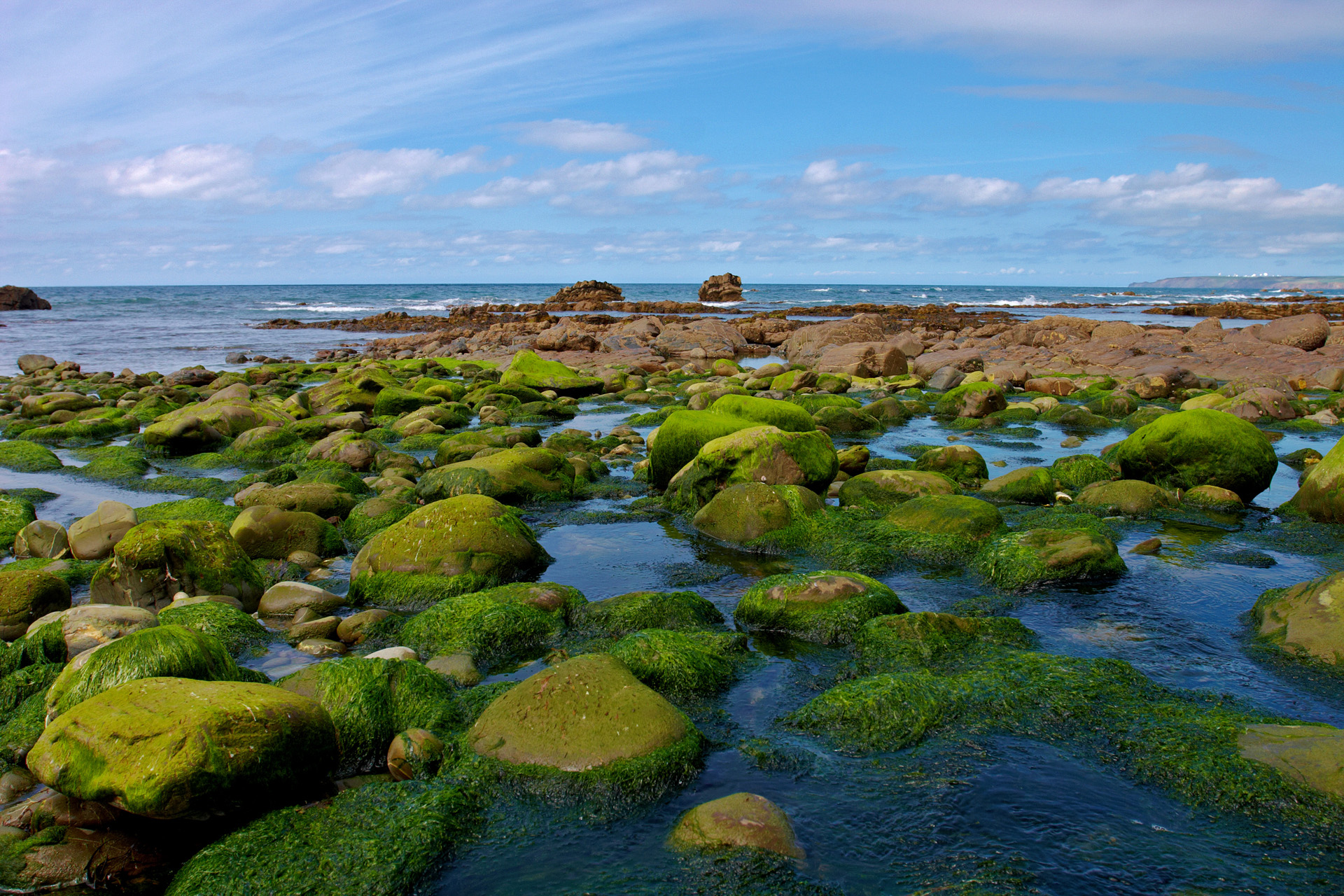 Green Rocks at Millook Haven, Cornwall