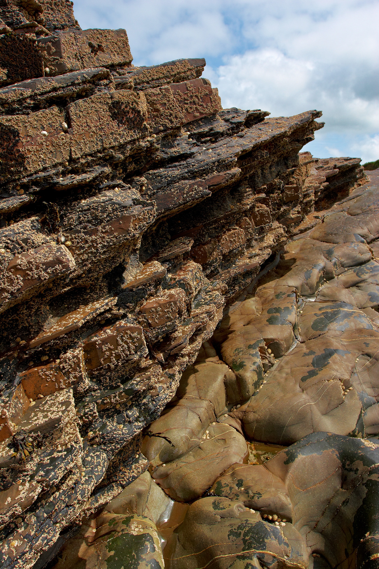 Millook Haven Metamorphic Rocks