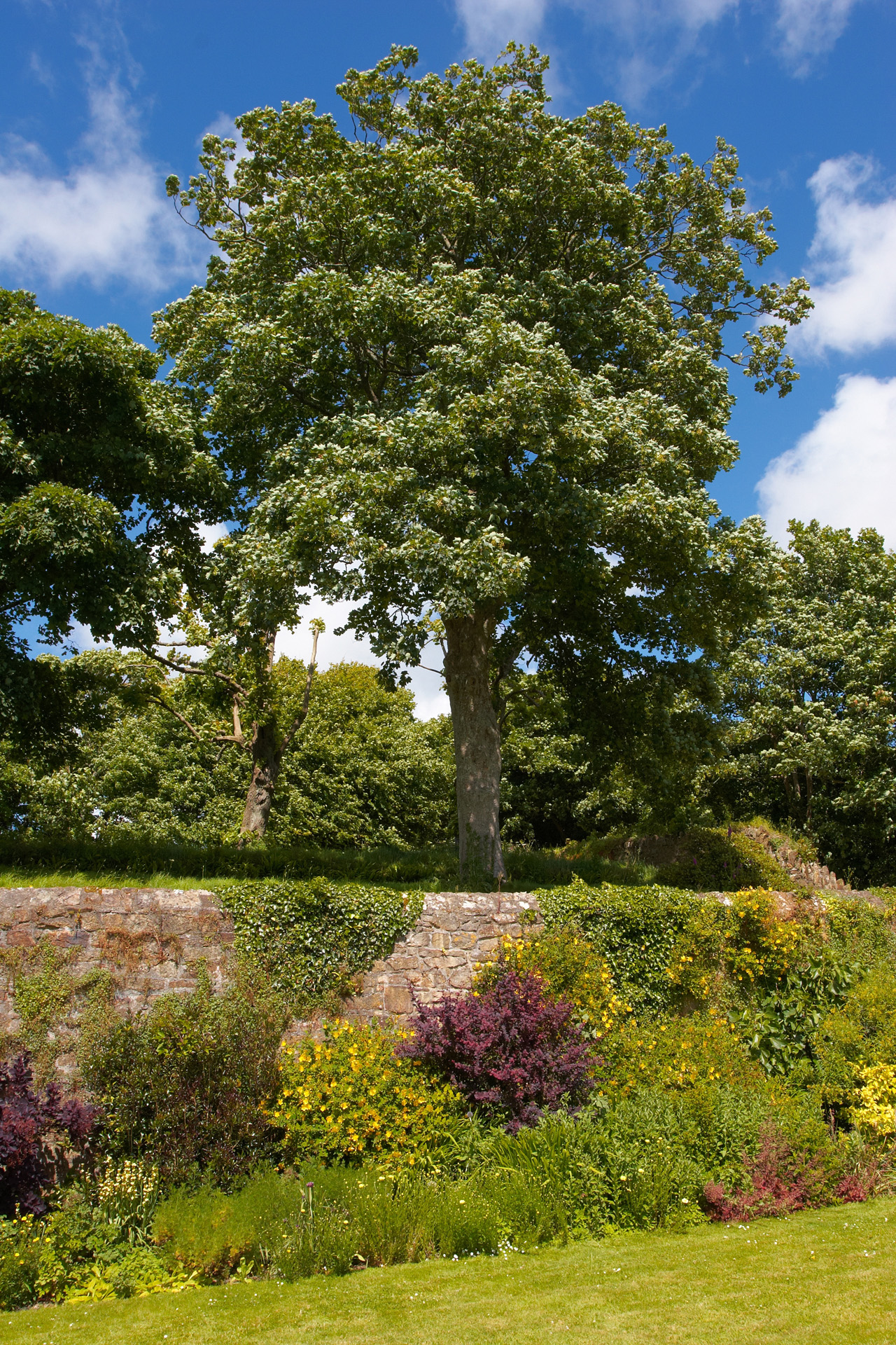 The gardens at Trerice House, Cornwall