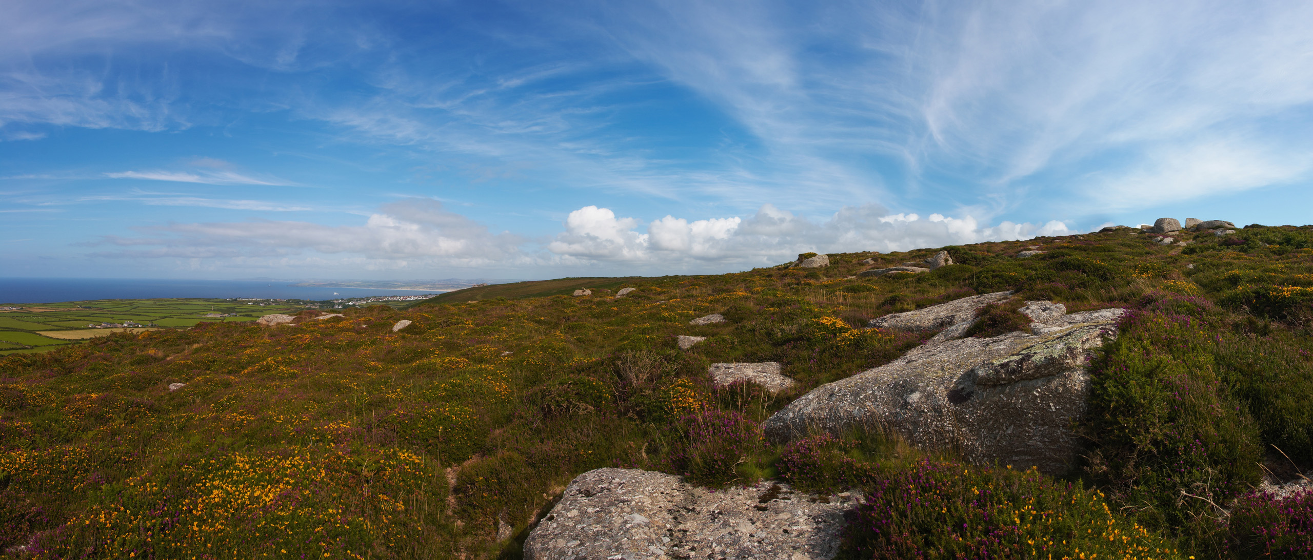 Rosewall Hill Heather, Gorse and Rocks Panorama