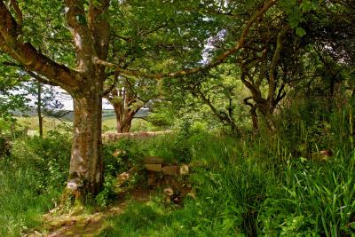 Madron Celtic Chapel, near Penzance, Cornwall