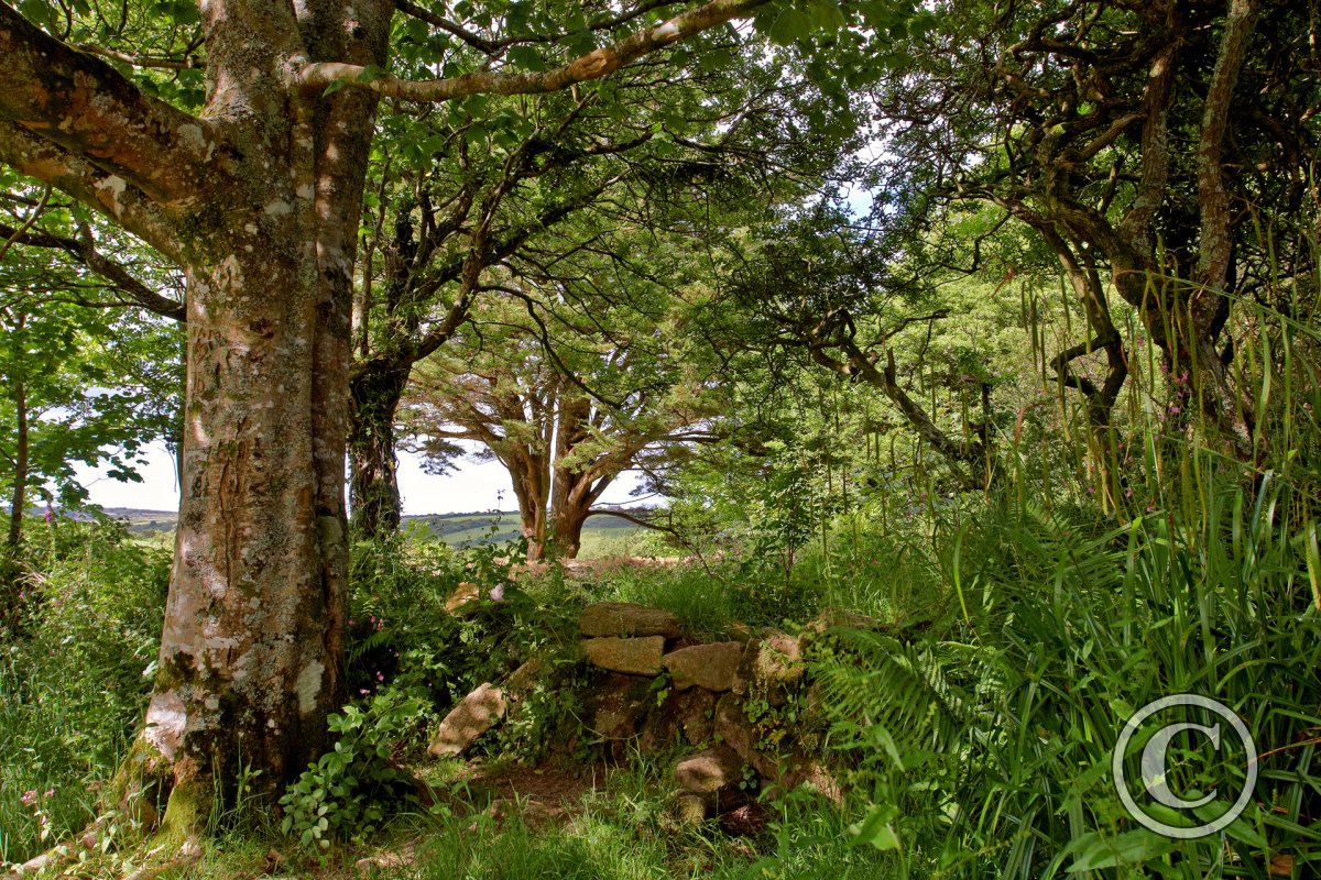 Madron Celtic Chapel, near Penzance, Cornwall | Ancient Places ...
