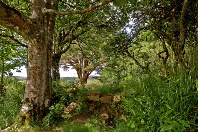 Madron Celtic Chapel, near Penzance, Cornwall