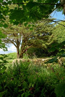 Madron Celtic Chapel, near Penzance, Cornwall