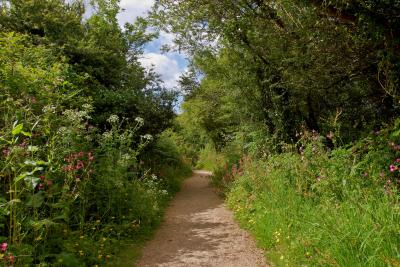 The path to Madron Celtic Chapel, near Penzance, Cornwall