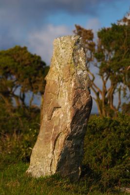 Nine Maidens Megalith, Eighth Of Nine