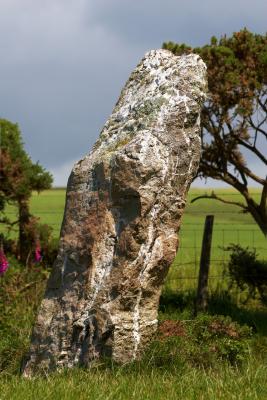 Nine Maidens Standing Stone, Seventh of Nine