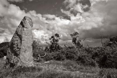 Nine Maidens Standing Stone, Fifth of Nine