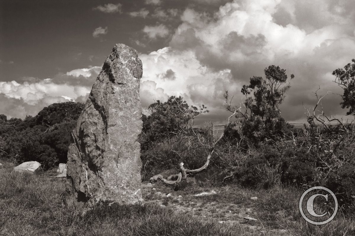 Nine Maidens Standing Stone, Fifth of Nine | Ancient Places ...