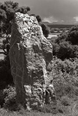 Nine Maidens Standing Stone, Seventh of Nine