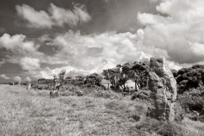 Nine Maidens Stone Row on St Breock Downs, Cornwall