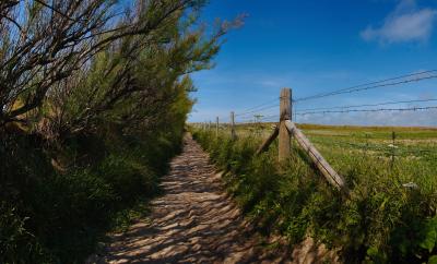 Sheltered Coastal Path between Bedruthan Steps and Portcothan.