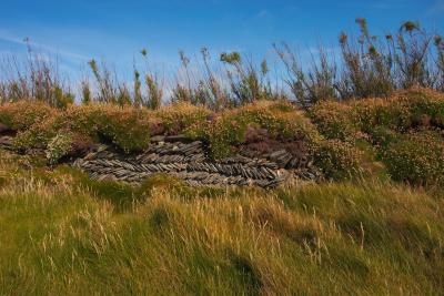 Overgrown Dry Stone Wall On The Cliffs Near Bedruthan Steps
