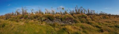 Overgrown Dry Stone Wall On The Cliffs Near Bedruthan Steps