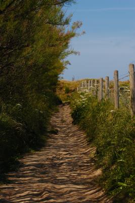 Sheltered Path along the North Cornwall Coast between Bedruthan