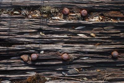 Railway Sleeper Texture