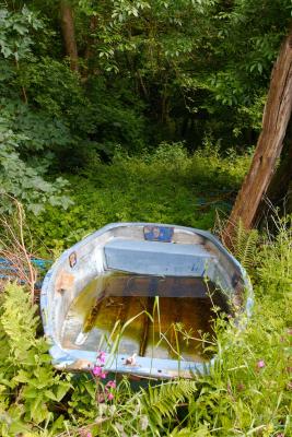 Abandoned rowing boat along the Camel Trail