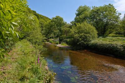 The River Camel along the Camel Trail