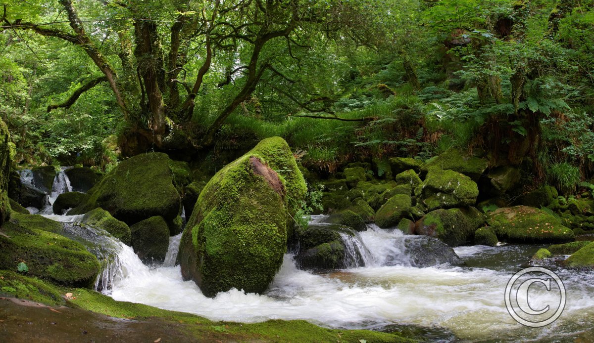 Golitha Falls Panorama 