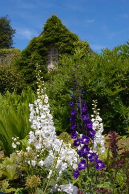 Lanhydrock House Gardens