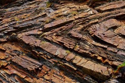 Millook Haven Cliffs With Rock Folds