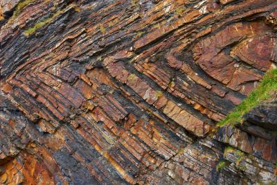 Millook Haven Cliffs With Rock Folds