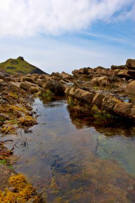 Millook Haven Rockpool