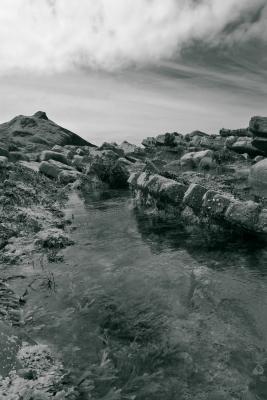 Millook Haven Rockpool