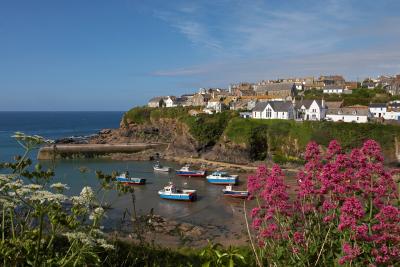 Port Isaac Through Red Valerian