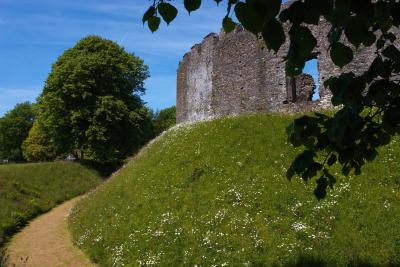 Restormel Castle Moat