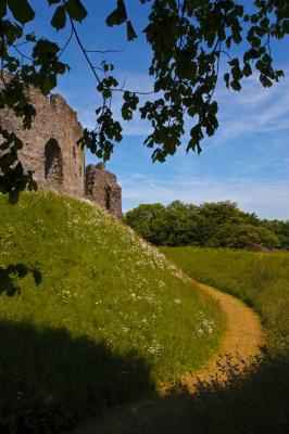 Restormel Castle Moat