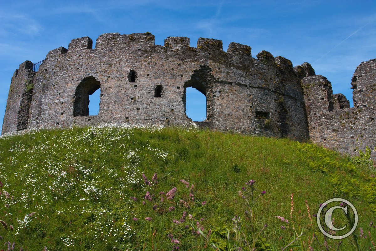 Castle — motte and bailey in Ballygrania