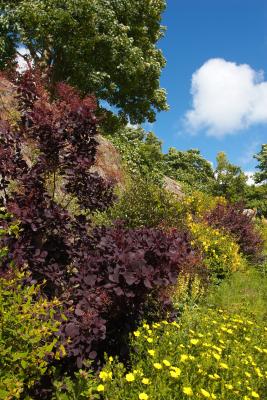The gardens at Trerice House, Cornwall