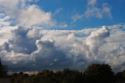 Summer cumulo-nimbus clouds building over the treeline
