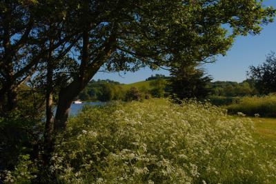 River Thames and Wittenham Clumps