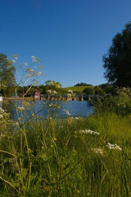 River Thames and Wittenham Clumps