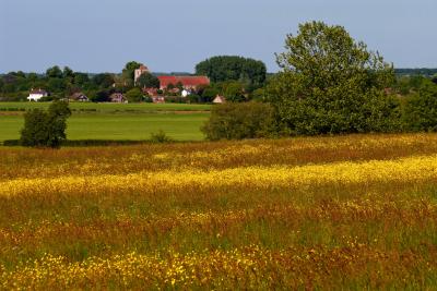 Church of St Peter & St Paul, Dorchester