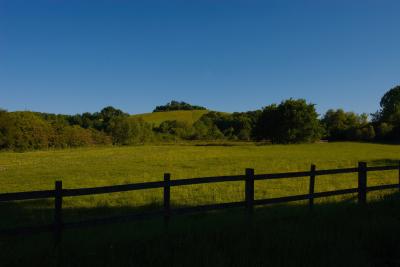 Wittenham Clumps