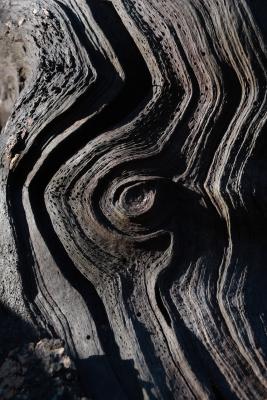 Weathered Wood Whorl Pattern