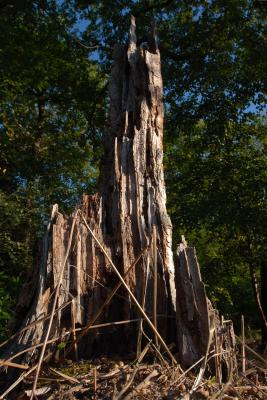 Wooden Tower Of Orthanc