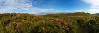 Rosewall Hill In The Evening Sunshine Panorama