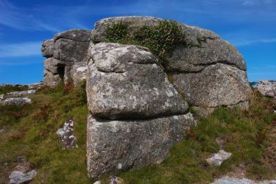 Rosewall Hill Tor Troll