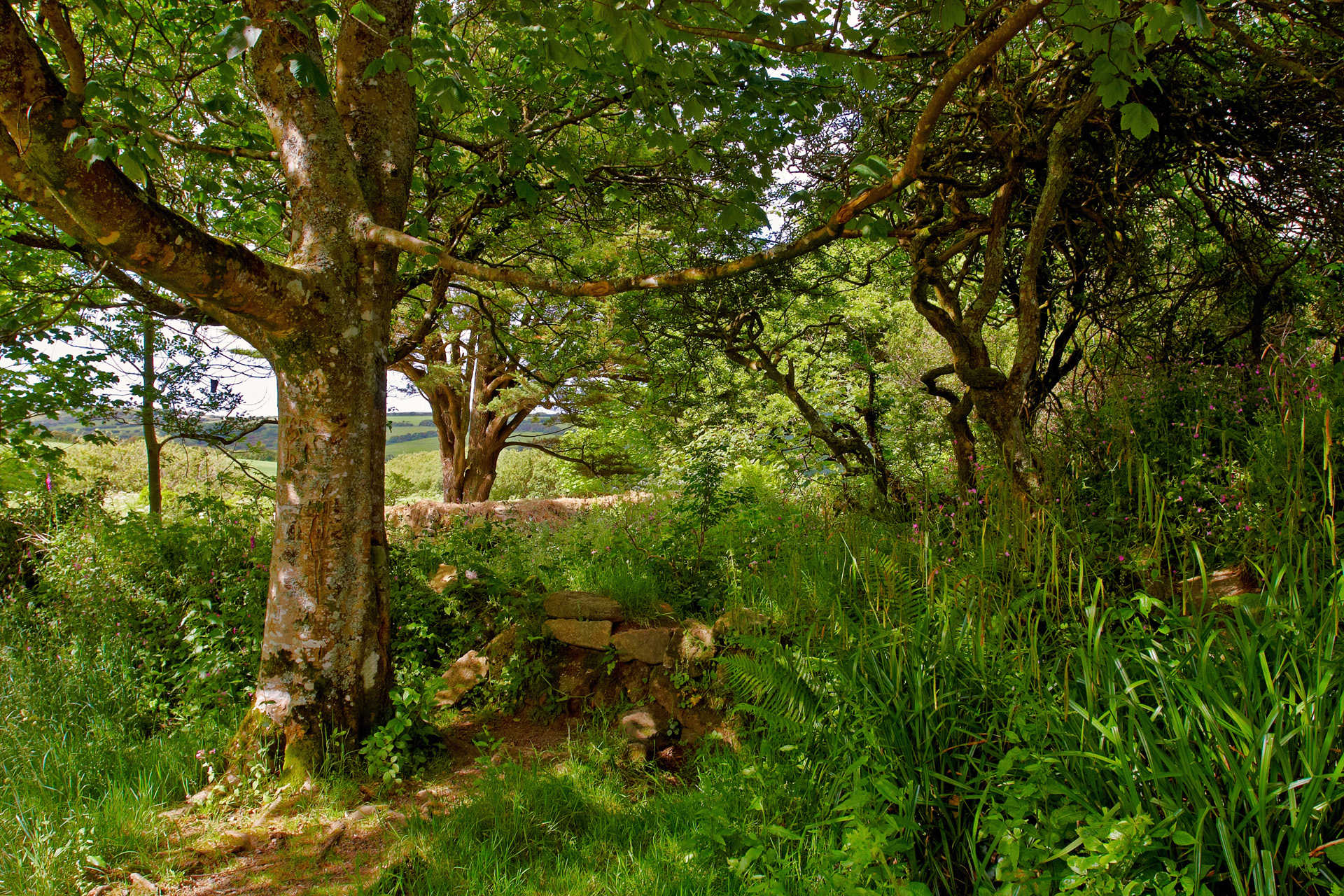 Madron Celtic Chapel, near Penzance, Cornwall