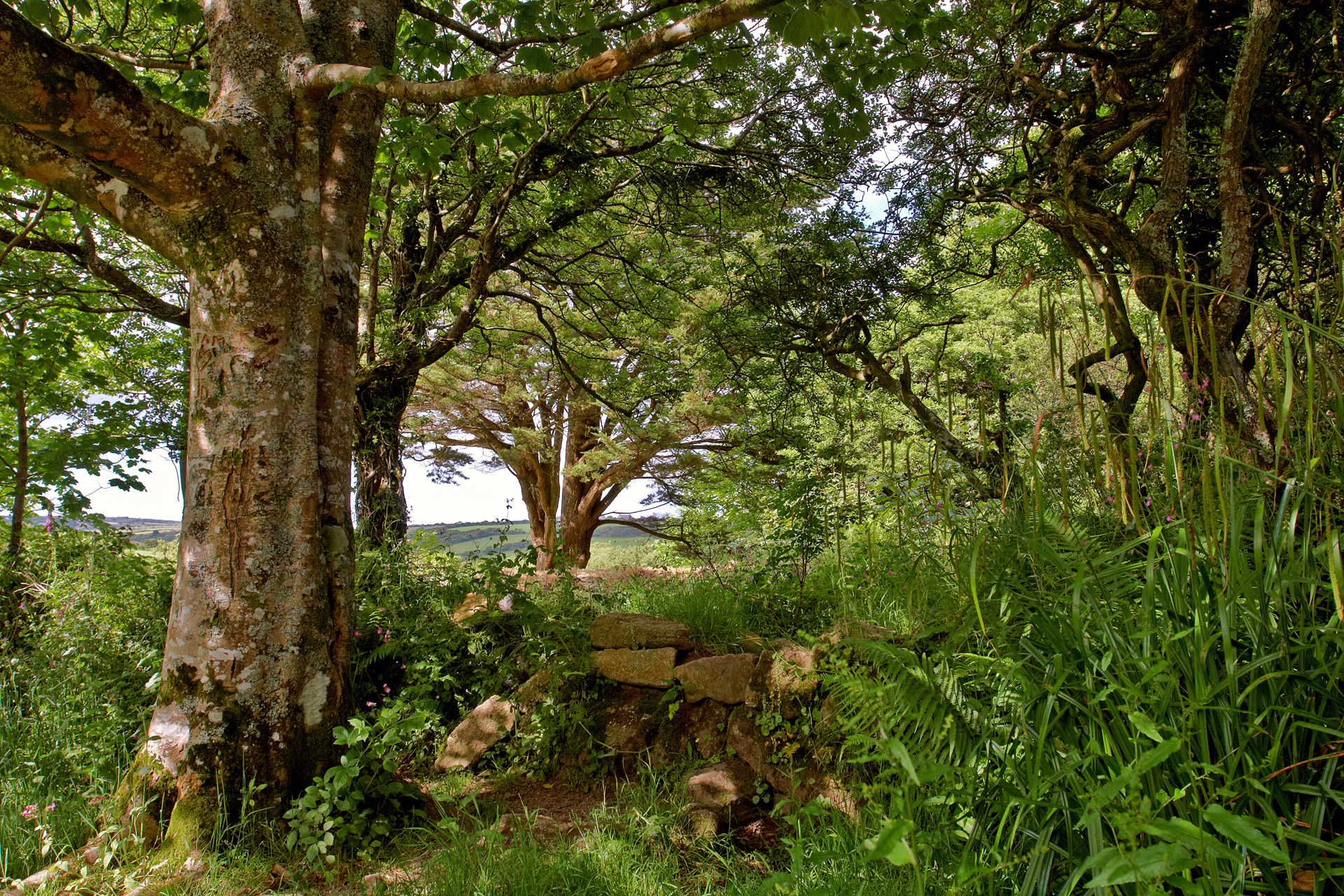 Madron Celtic Chapel, near Penzance, Cornwall
