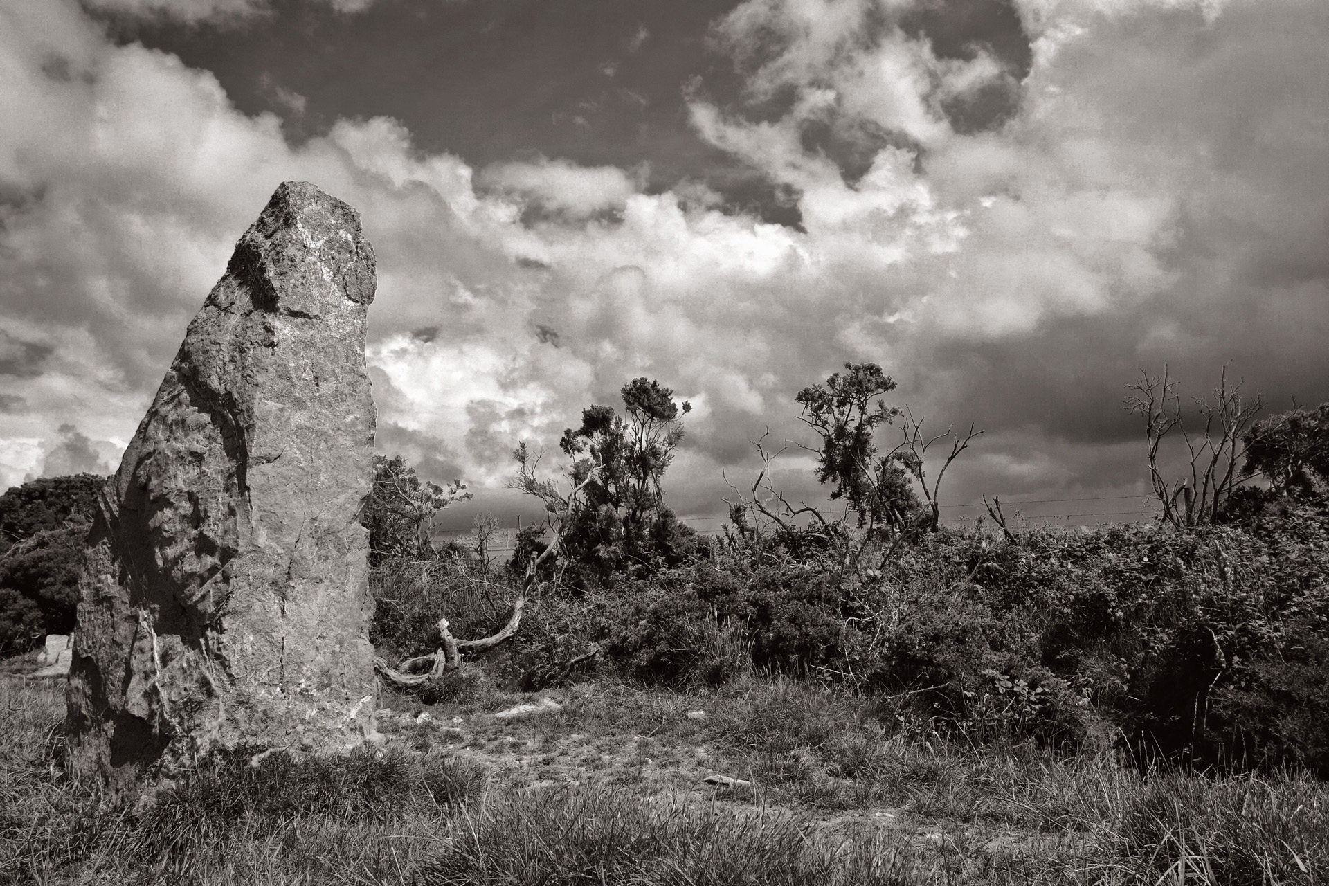 Nine Maidens Standing Stone, Fifth of Nine