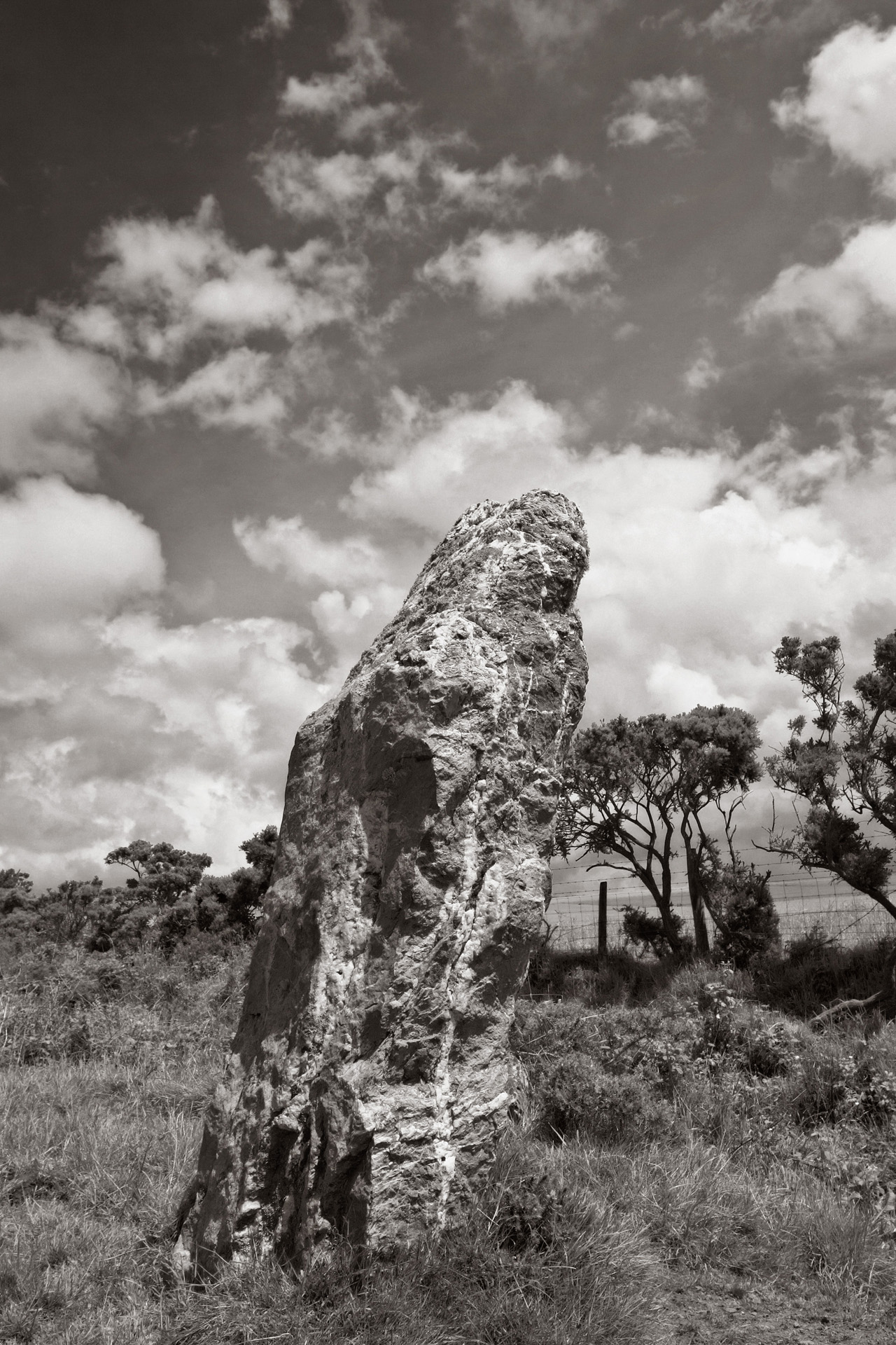 Nine Maidens Standing Stone, Seventh of Nine