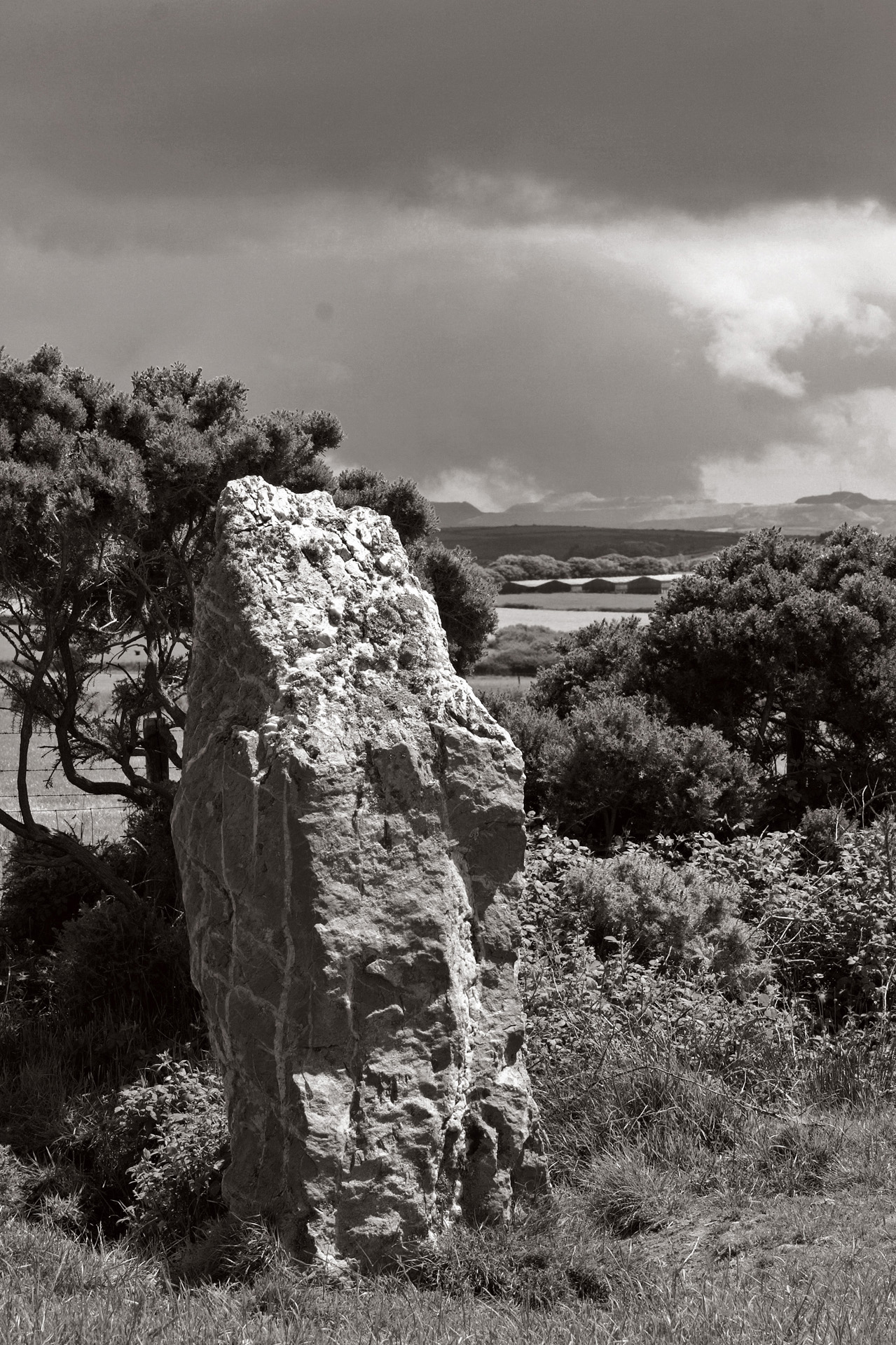 Nine Maidens Standing Stone, Seventh of Nine